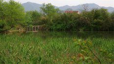 杭州西溪湿地迷人风景壁纸