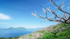 日本北海道风景高清桌面壁