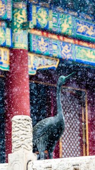 白雪皑皑紫禁城唯美迷人雪